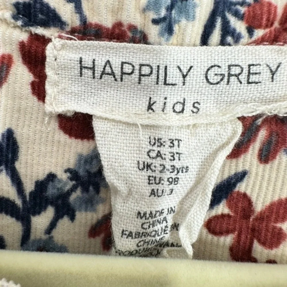 Happily Grey Girls Size 3T Dress Fall Floral Corduroy Ruffle Neck Long Sleeve